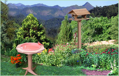 Bird Feeders and Bird Related Products